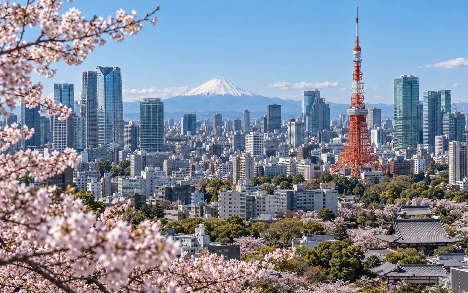 Tokyo skyline, Tokyo Tower, Mount Fuji and cherry blossoms in Japan