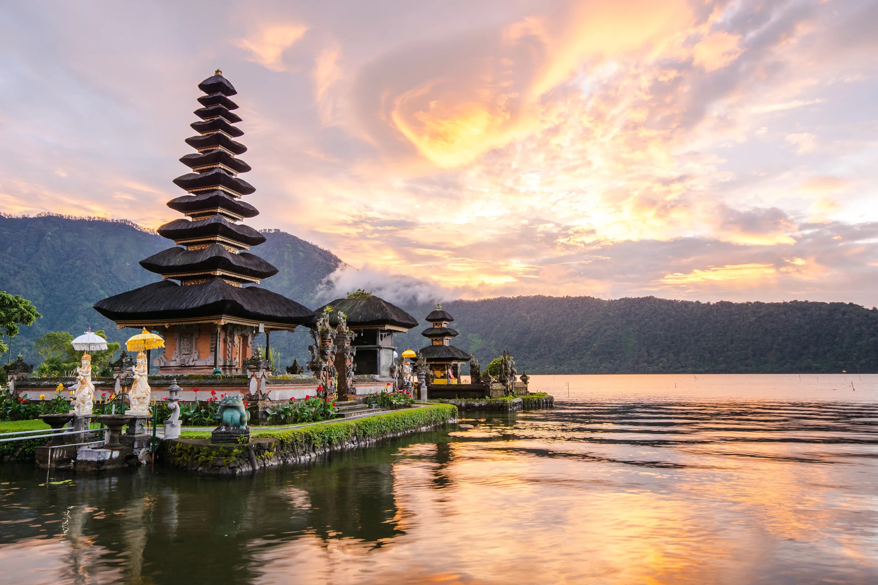 Bali rice terraces and tropical greenery